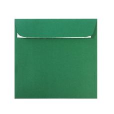 Plic verde padure, siliconic, 120g, 25buc/set, 160x160mm