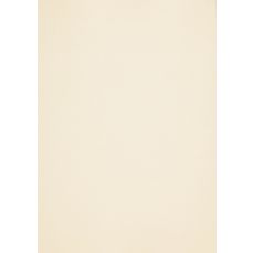 Carton A4, 240g/mp, 27coli/top, Europa Ivory, Curious Collection Metallics