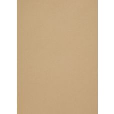 Carton A4, 300g/mp, 27coli/top, Gold Leaf, Curious Collection Metallics