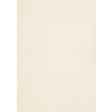 Carton A4, 450g/mp, 27coli/top, China white, Keaykolour