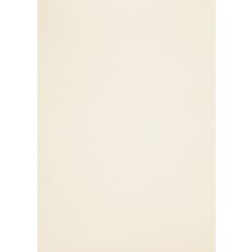 Carton A4, 170g/mp, 27coli/top, Pale Cream, Rives Tradition