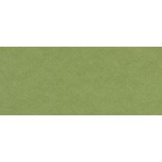 Carton A4, 450g/mp, 27coli/top, green, Wild Natural